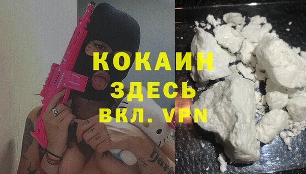 шишки Армянск